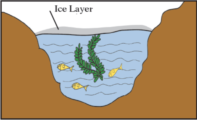 Chapter 5: Use Your Brain Power! (66) Chapter 5: Use Your Brain Power! (66)